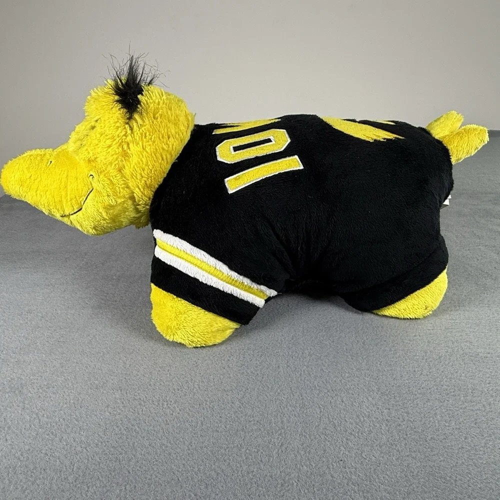 Iowa Hawkeyes Large 18